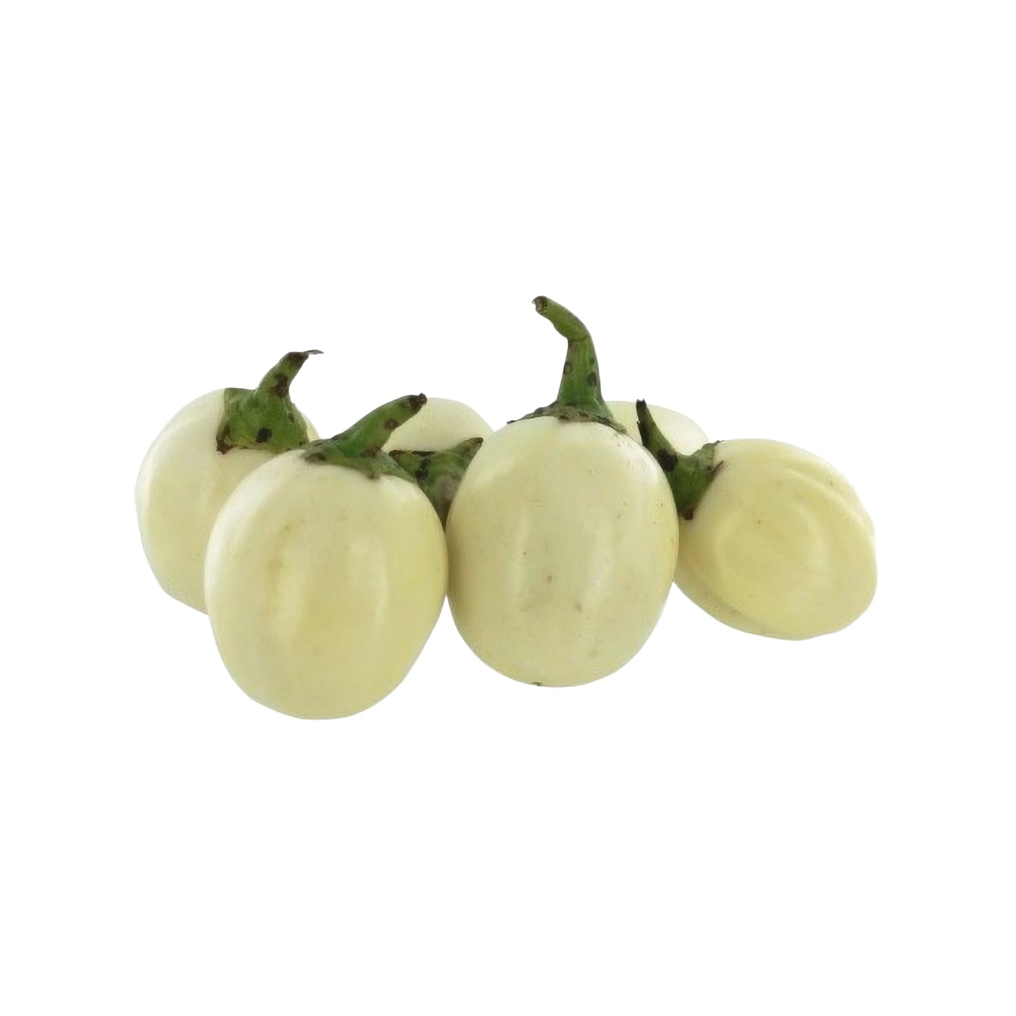 1 kg – Frische Garden Eggs (African Eggplant, Entura, Anyara, Afufa, Obe-Igba) aus Uganda